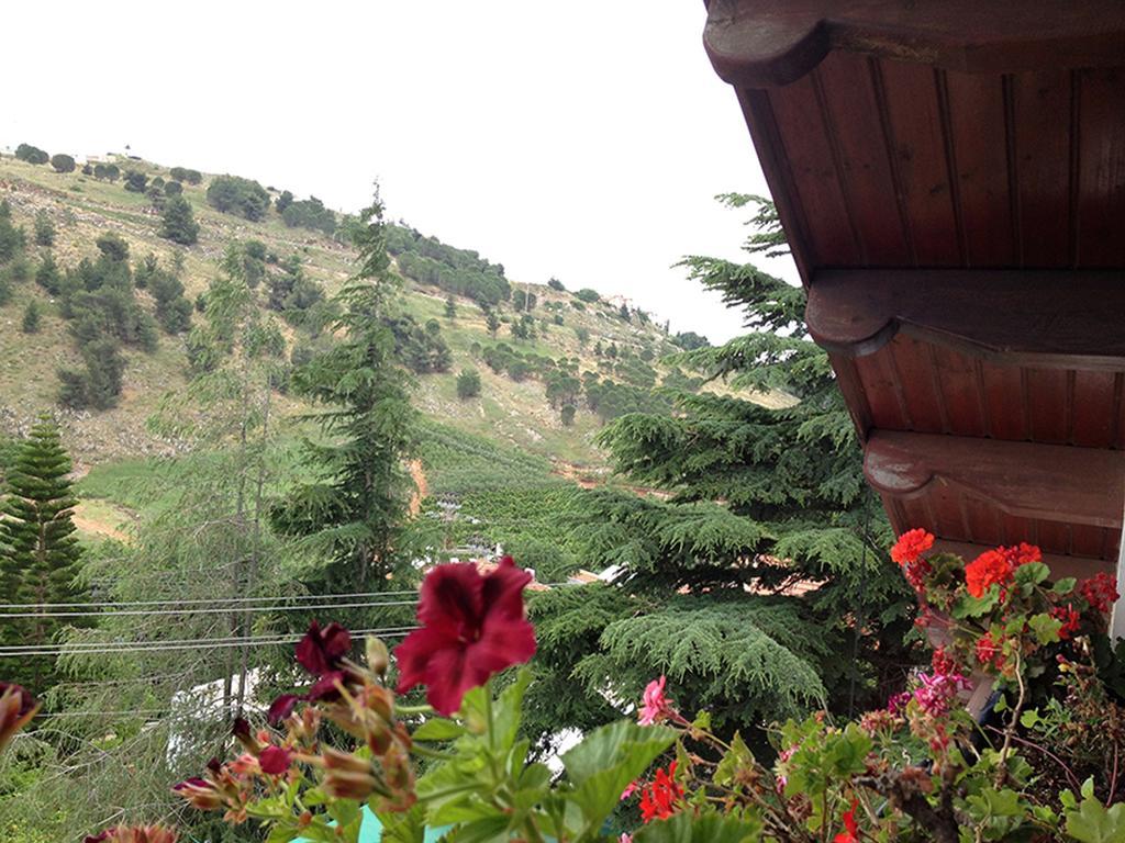 Mina Teva Villa Метула Екстериор снимка